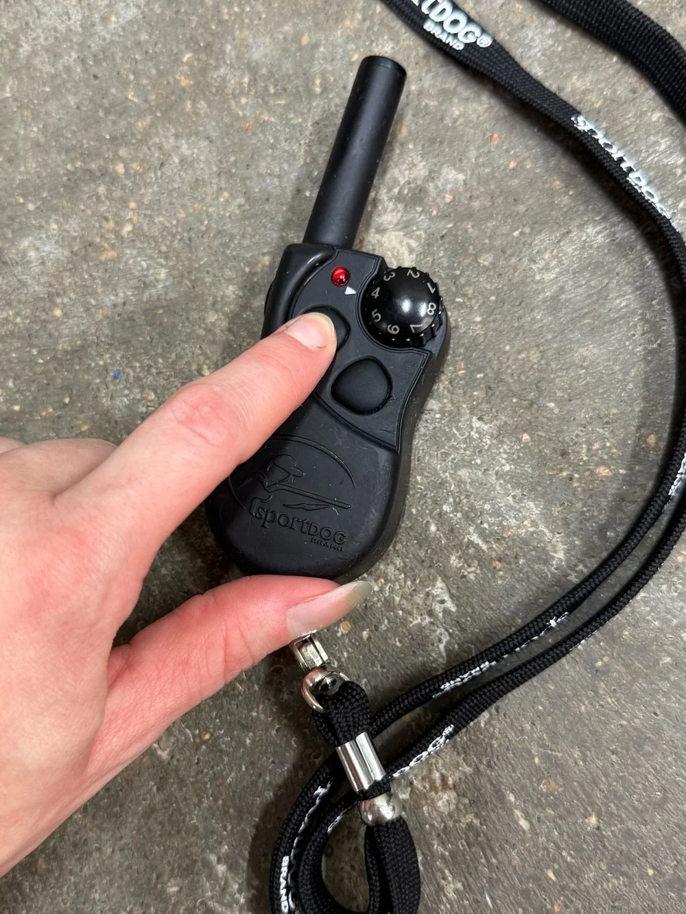 SportDOG 105S Dog Training Collar Kit Tested